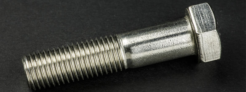 Stainless Steel Heavy Hex Bolt Manufacturers, Supplier & Stockist In Mumbai