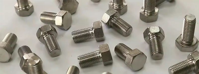 Stainless Steel Heavy Hex Bolt Manufacturers, Supplier & Stockist In Pune