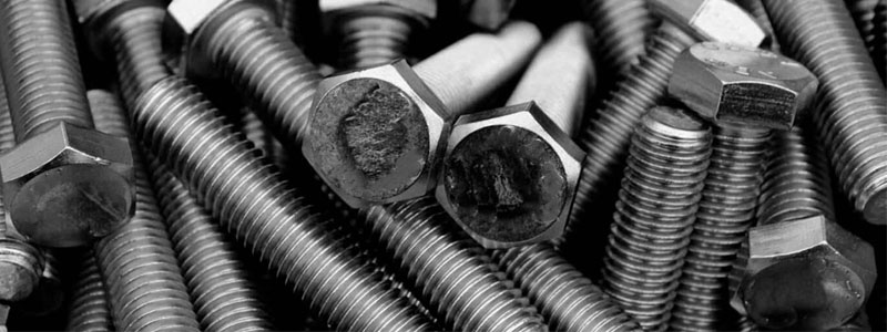 Stainless Steel Heavy Hex Bolt Manufacturers, Supplier & Stockist In Vadodara