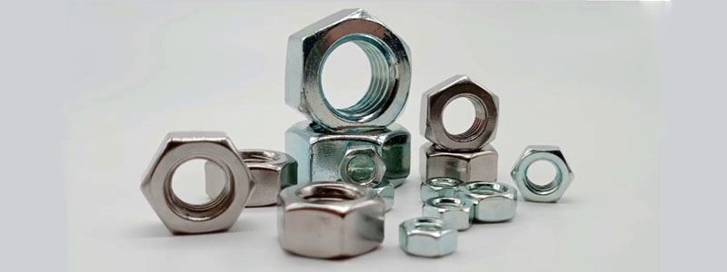 Automation Nuts Manufacturer in India