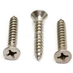 Duplex Screw Manufacturer in India