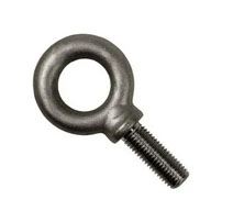 Eye Bolts Manufacturer in India
