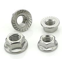 Flange Nuts Supplier in India