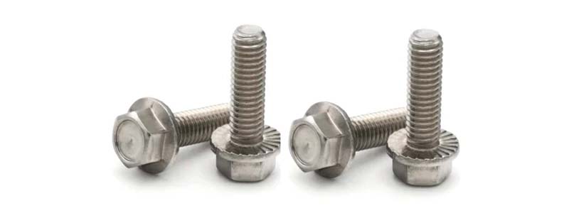 Serrated Flange Bolts Manufacturer in India
