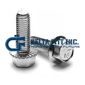 Serrated Flange Bolts Supplier in India