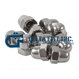 Cap Nuts Supplier in India