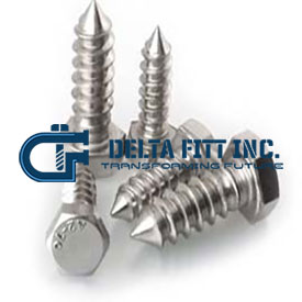 Stainless Steel Fasteners Supplier in India