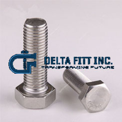 Stainless Steel Heavy Hex Bolt Supplier In Pune